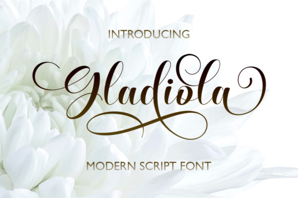 Gladiola Font for Elegant, Handwritten Branding