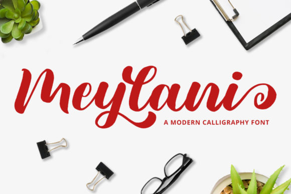 Meylani Script Handwritten Font for Elegant Branding