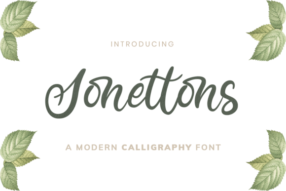 Sonettons: A Delicate Script Handwritten Font for Scroll-Stopping Brand Content