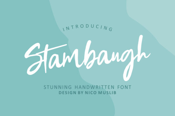 Stambaugh: A Premium Script Handwritten Font for Elegant Brand Identity